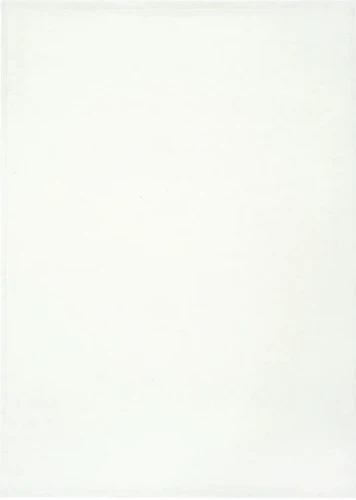 Dywan Basic White Magic Home Carpet Decor
