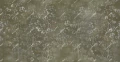 Fototapeta roślinna Inkiostro Bianco SILLAGE MUSCHIO INKRAAS2603 Materiaprima