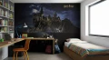 Fototapeta London Art Harry Potter WBHP319-1 Warner Bros