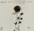 Tapeta Wall&Deco Milano WDMI1401 Contemporary 14