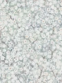 Tapeta delikatne kwiaty Boras Tapeter 9184 Hanami Flowers