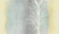 Fototapeta brzoza Wall&Deco WET_AR2601 Arboralis WET SYSTEM 2026