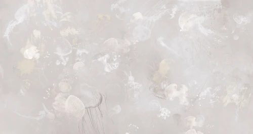 Fototapeta meduzy Wall&Deco WET_LD2602 La Duse WET SYSTEM 2026