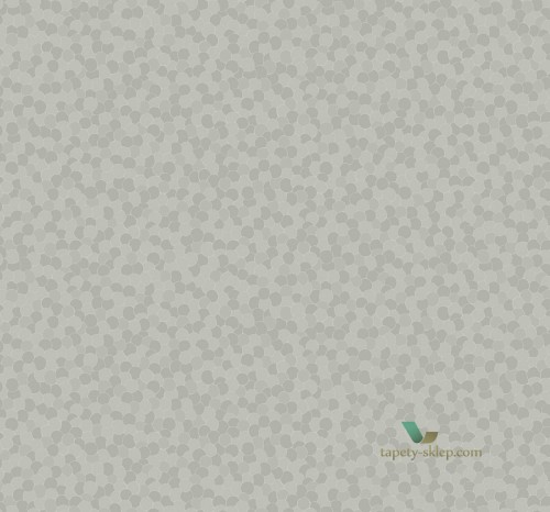 Tapeta BW21702 Black & White