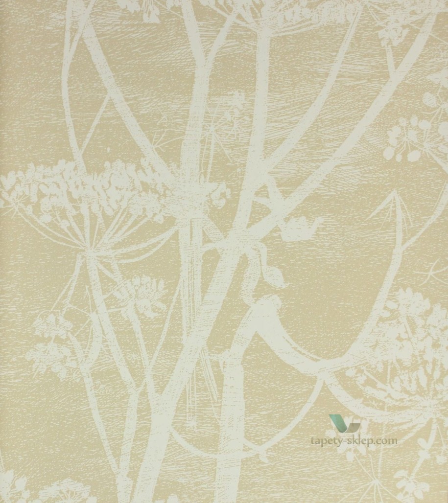 Tapeta Cole & Son 66/7049 Cow Parsley The Contemporary Selection