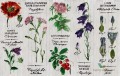 Fototapeta Wall&Deco Pianthus WDPI1503 Contemporary 15