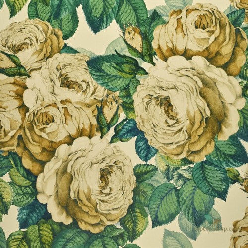 Tapeta John Derian PJD6002/01 Picture Book