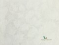 Tapeta Designers Guild PDG679/05 Caprifoglio