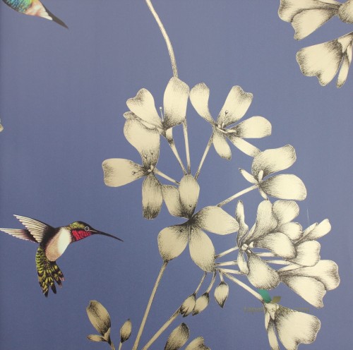 Tapeta Harlequin 111059 Amazilia