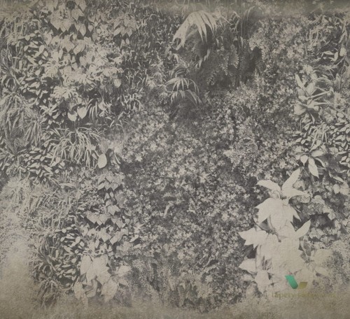 Fototapeta Wall&Deco Vertical Green WDVG1502 Contemporary 15