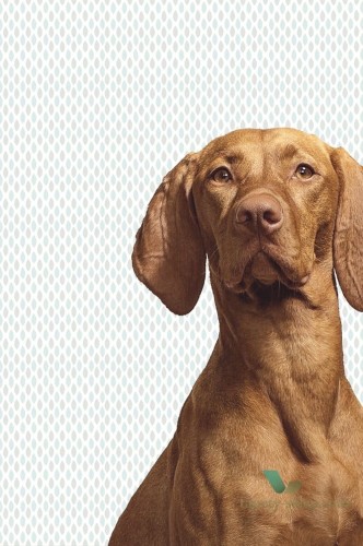 Fototapeta Eijffinger 364125 Wallpower Junior