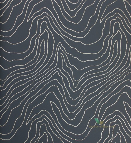 Tapeta Harlequin 111591 Formation Momentum Vol. 4