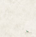 Tapeta Wallquest CE21110 Primo
