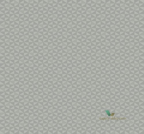 Tapeta BW20307 Black & White