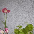 Tapeta Designers Guild PDG1031/03 Pavonazzo Tulipa Stellata