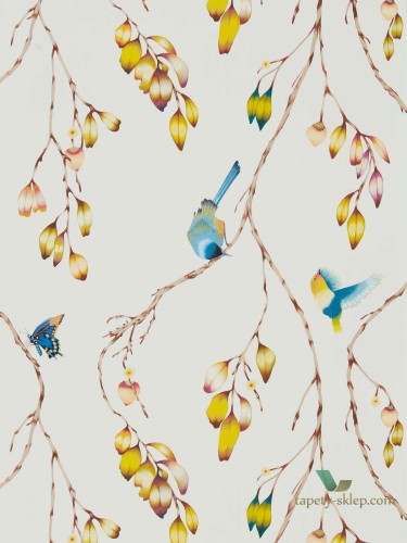 Tapeta Harlequin 111770 Iyanu Zapara