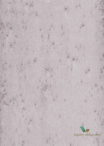 Tapeta Blacha Arte 37505 Stellar Metal X Signum