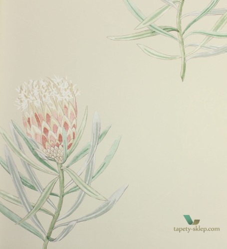 Tapeta kwiaty Sanderson 216329 Art of the Garden