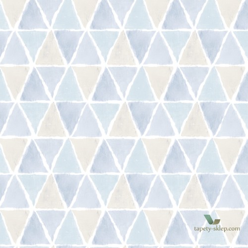 Tapeta Kuchenna Galerie CK36638 Kitchen Style 3