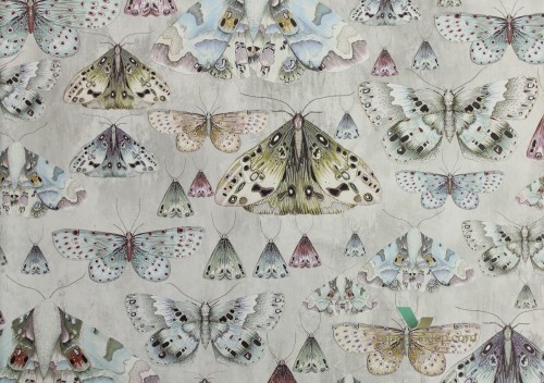 Tapeta Designers Guild PDG713/02 Jardin des plantes