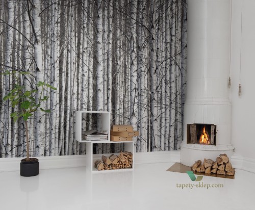 Fototapeta Rebel Walls R13031