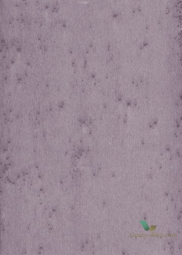 Tapeta Blacha Arte 37504 Stellar Metal X Signum