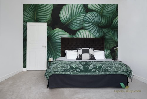 Fototapeta Rebel Walls R15831 Beetle Valley