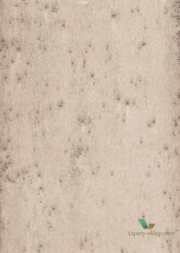 Tapeta Blacha Arte 37507 Stellar Metal X Signum