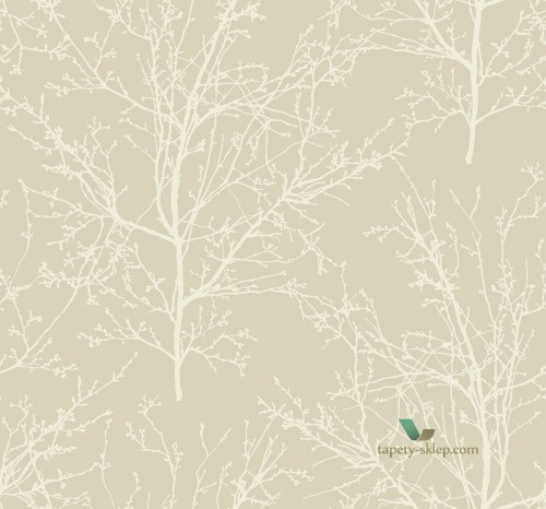 Tapeta BW22408 Black & White