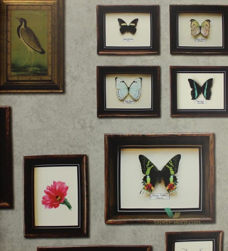 Tapeta Matthew Williamson W6953-01 Durbar