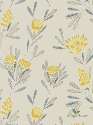 Tapeta Harlequin 111774 Cayo Zapara