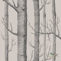 Tapeta w drzewa Cole & Son Icons 112/3009 Woods