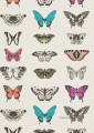 Tapeta Harlequin 111079 Amazilia