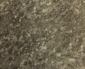 Tapeta Designers Guild PDG683/05 Boratti