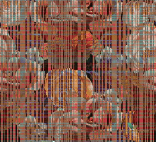 Fototapeta Wall&Deco WDSH1802 SHOCKING Contemporary 2018