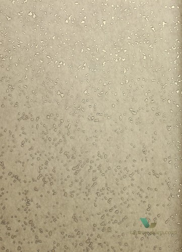 Tapeta Antonina Vella MR643694 Mixed Metals York