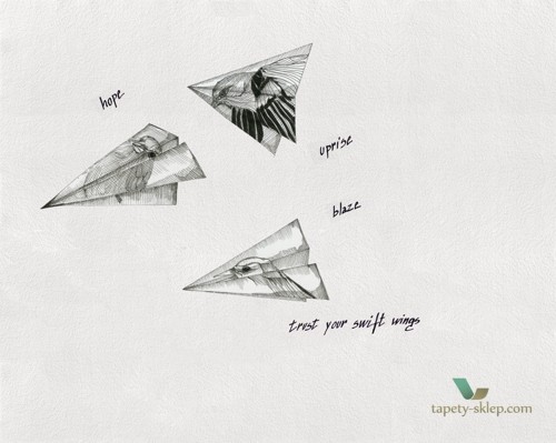 Fototapeta Wall&Deco Ikaria WDIK1502 Contemporary 15