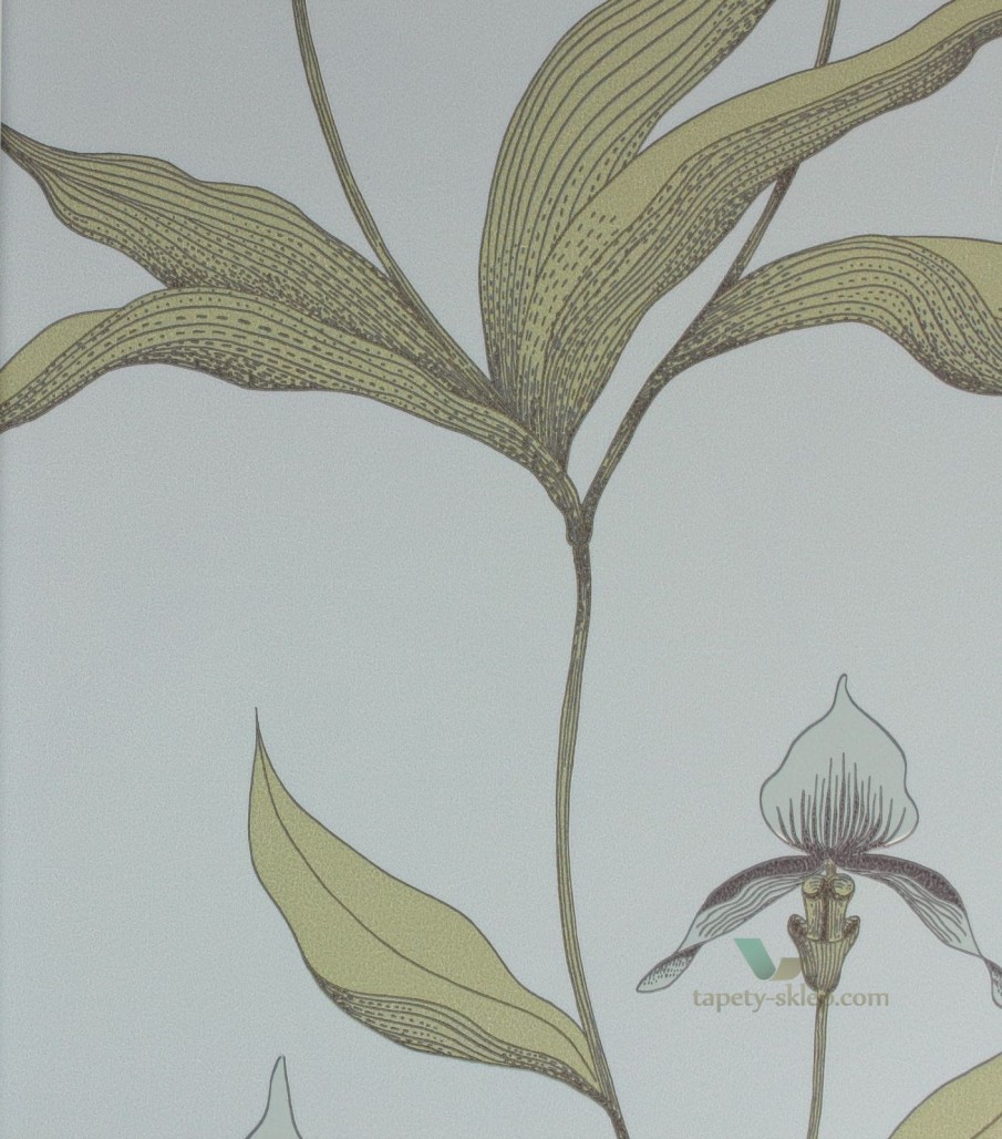 Tapeta Cole & Son 66/4026 Orchid The Contemporary Selection