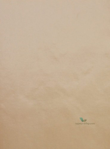 Tapeta Ekskluzywna Marburg Ulf Moritz Scala 74825