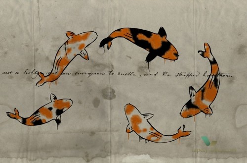 Tapeta Wall&Deco Carp GPW1436 Contemporary 14