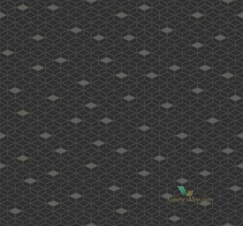 Tapeta BW20900 Black & White