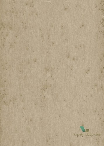 Tapeta Blacha Arte 37509 Stellar Metal X Signum