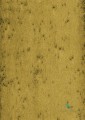 Tapeta Blacha Arte 37517 Stellar Metal X Signum