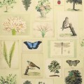 Tapeta John Derian PJD6001/01 Picture Book