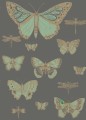 Tapeta Cole & Son 103/15067 Butterflies and Dragonflies Whimsical