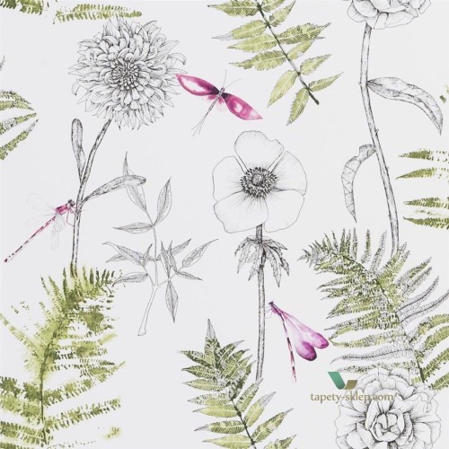 Tapeta Designers Guild PDG1022/04 Acanthus Majolica