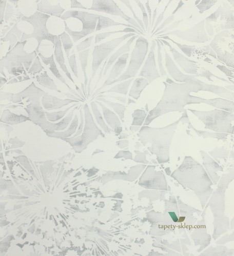 Tapeta Harlequin 111639 Coralline Anthozoa