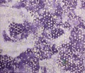 Tapeta PDG647/09 Palasini Designers Guild