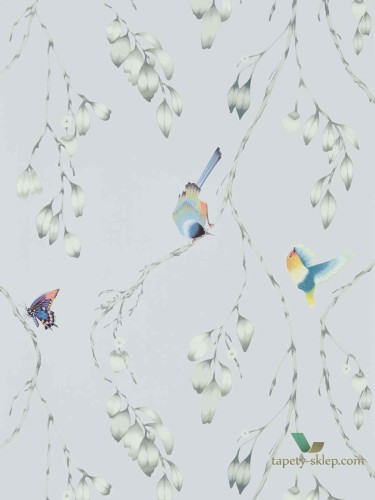 Tapeta Harlequin 111767 Iyanu Zapara