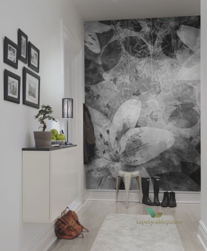 Fototapeta R12062-6 Rebel Walls